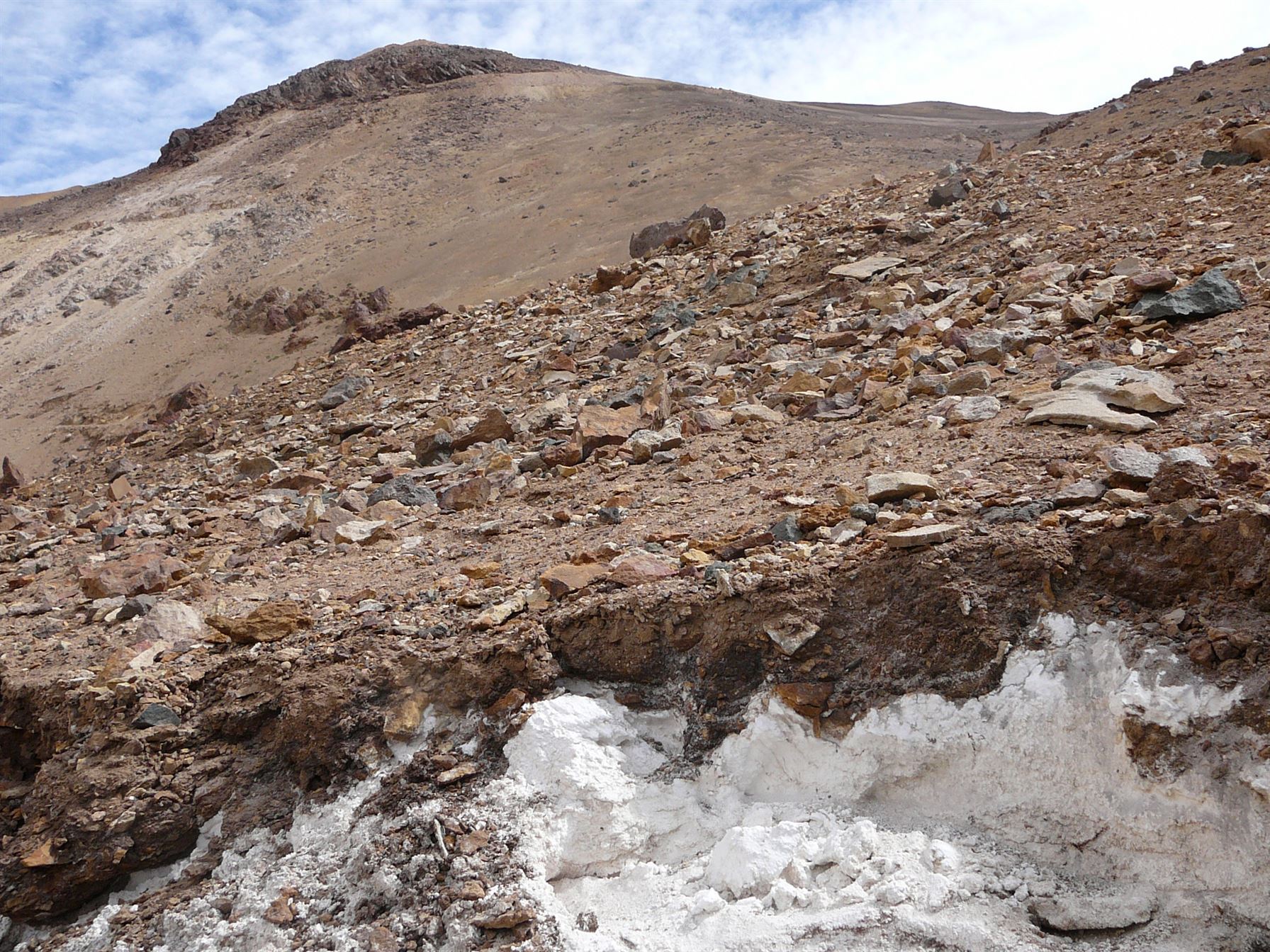 testerra_laboratorio_minero_consultoria_estudio_de_base_cero